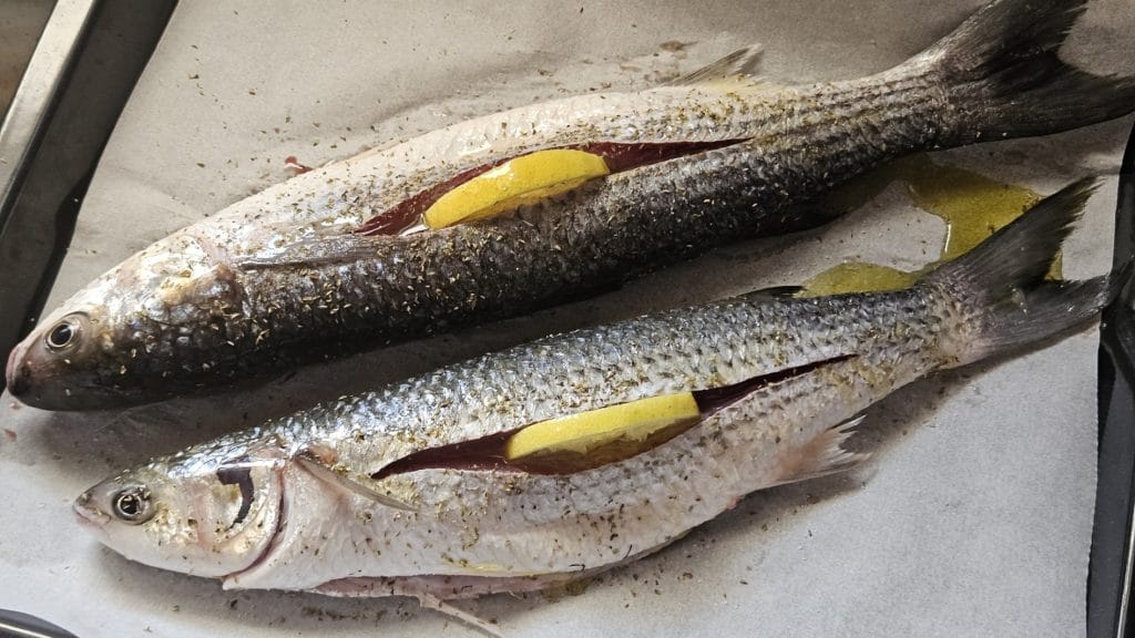 alt Mulet rôti au four à la grecque